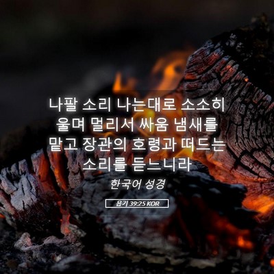 Picture 05 - 욥기 39:25 KOR - 나팔 소리 나는대로 소소히 울며 - Bible Verse Picture
