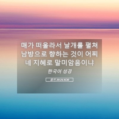 Picture 05 - 욥기 39:26 KOR - 매가 떠올라서 날개를 펼쳐 남방으로 - Bible Verse Picture