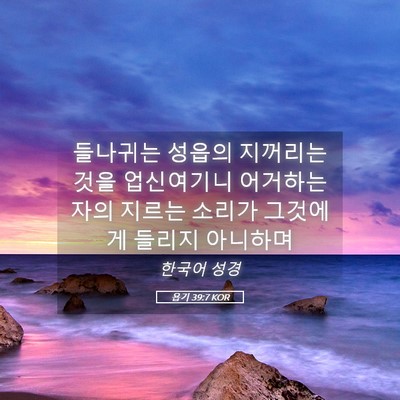 Picture 05 - 욥기 39:7 KOR - 들나귀는 성읍의 지꺼리는 것을 - Bible Verse Picture