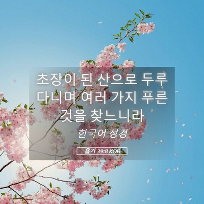 Picture 05 - 욥기 39:8 KOR - 초장이 된 산으로 두루 다니며 여러 - Bible Verse Picture