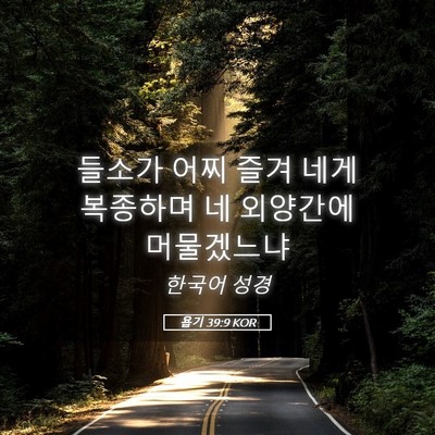 Picture 05 - 욥기 39:9 KOR - 들소가 어찌 즐겨 네게 복종하며 네 - Bible Verse Picture