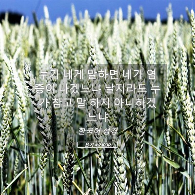 Picture 05 - 욥기 4:2 KOR - 누가 네게 말하면 네가 염증이 - Bible Verse Picture