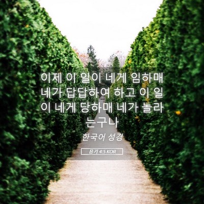 Picture 05 - 욥기 4:5 KOR - 이제 이 일이 네게 임하매 네가 - Bible Verse Picture