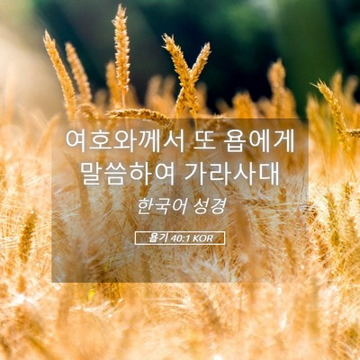 Picture 05 - 욥기 40:1 KOR - 여호와께서 또 욥에게 말씀하여 - Bible Verse Picture