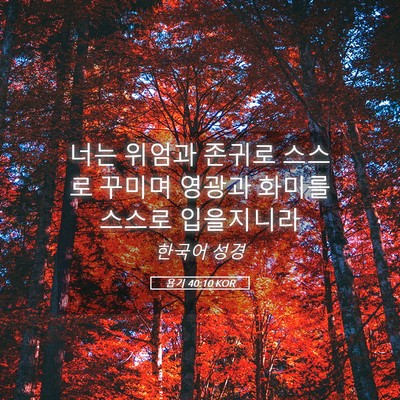 Picture 05 - 욥기 40:10 KOR - 너는 위엄과 존귀로 스스로 꾸미며 - Bible Verse Picture