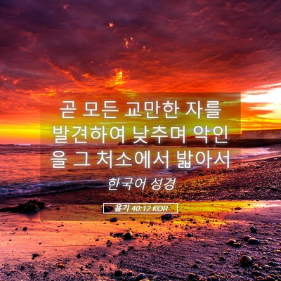 Picture 05 - 욥기 40:12 KOR - 곧 모든 교만한 자를 발견하여 - Bible Verse Picture