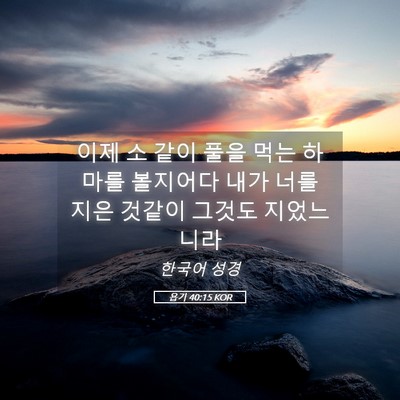 Picture 05 - 욥기 40:15 KOR - 이제 소 같이 풀을 먹는 하마를 - Bible Verse Picture