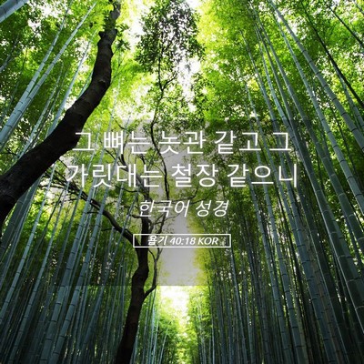 Picture 05 - 욥기 40:18 KOR - 그 뼈는 놋관 같고 그 가릿대는 철장 - Bible Verse Picture
