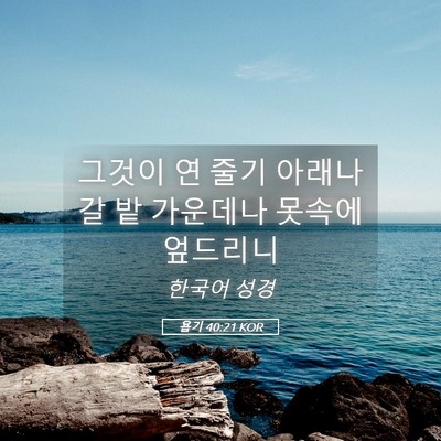 Picture 05 - 욥기 40:21 KOR - 그것이 연 줄기 아래나 갈 밭 - Bible Verse Picture