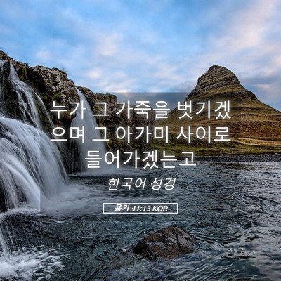 Picture 05 - 욥기 41:13 KOR - 누가 그 가죽을 벗기겠으며 그 - Bible Verse Picture