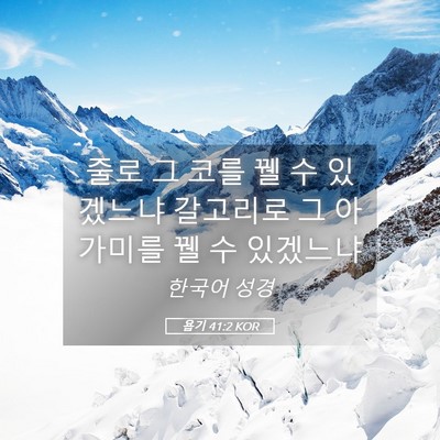 Picture 05 - 욥기 41:2 KOR - 줄로 그 코를 꿸 수 있겠느냐 - Bible Verse Picture