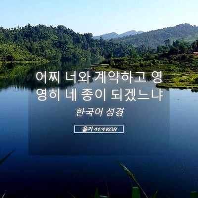 Picture 05 - 욥기 41:4 KOR - 어찌 너와 계약하고 영영히 네 종이 - Bible Verse Picture