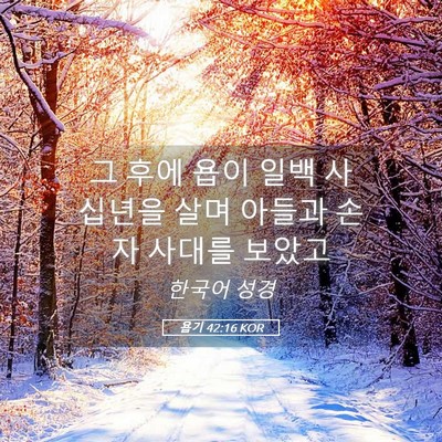 Picture 05 - 욥기 42:16 KOR - 그 후에 욥이 일백 사십년을 살며 - Bible Verse Picture