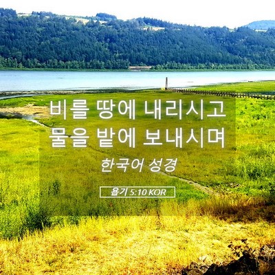 Picture 05 - 욥기 5:10 KOR - 비를 땅에 내리시고 물을 밭에 - Bible Verse Picture