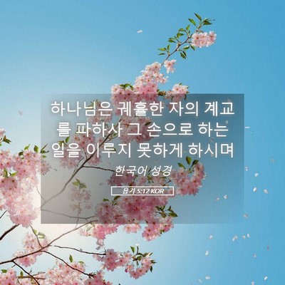 Picture 05 - 욥기 5:12 KOR - 하나님은 궤휼한 자의 계교를 파하사 - Bible Verse Picture