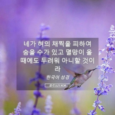 Picture 05 - 욥기 5:21 KOR - 네가 혀의 채찍을 피하여 숨을 수가 - Bible Verse Picture