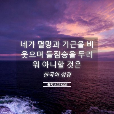 Picture 05 - 욥기 5:22 KOR - 네가 멸망과 기근을 비웃으며 - Bible Verse Picture