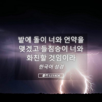 Picture 05 - 욥기 5:23 KOR - 밭에 돌이 너와 언약을 맺겠고 - Bible Verse Picture