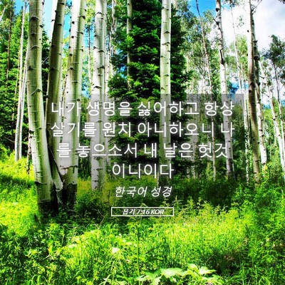 Picture 05 - 욥기 7:16 KOR - 내가 생명을 싫어하고 항상 살기를 - Bible Verse Picture