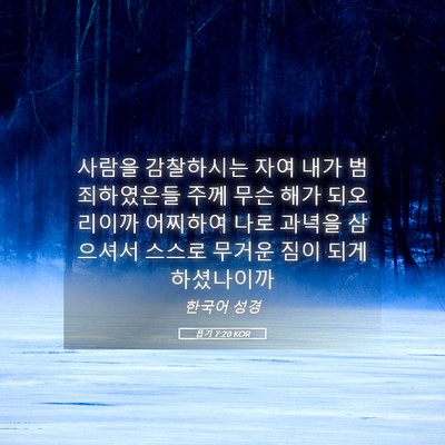 Picture 05 - 욥기 7:20 KOR - 사람을 감찰하시는 자여 내가 - Bible Verse Picture