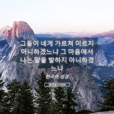 Picture 05 - 욥기 8:10 KOR - 그들이 네게 가르쳐 이르지 - Bible Verse Picture