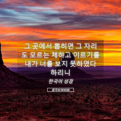 Picture 05 - 욥기 8:18 KOR - 그 곳에서 뽑히면 그 자리도 모르는 - Bible Verse Picture