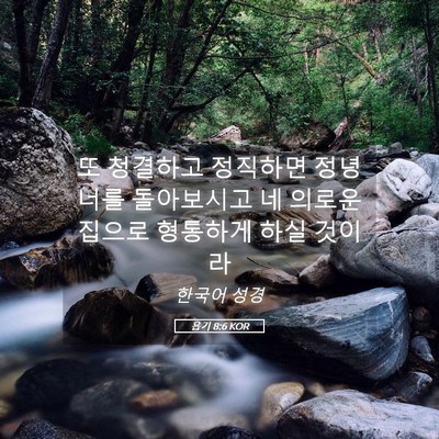 Picture 05 - 욥기 8:6 KOR - 또 청결하고 정직하면 정녕 너를 - Bible Verse Picture