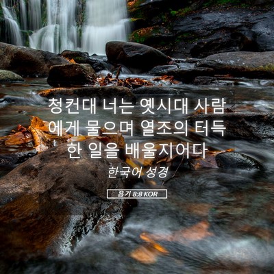 Picture 05 - 욥기 8:8 KOR - 청컨대 너는 옛시대 사람에게 물으며 - Bible Verse Picture