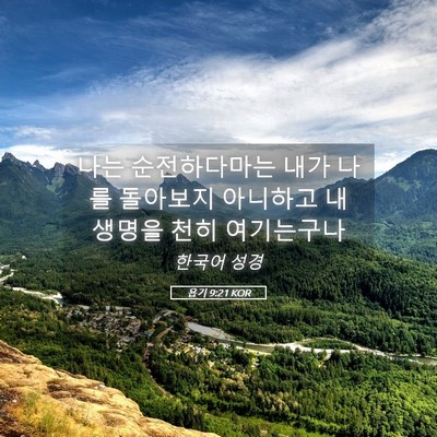 Picture 05 - 욥기 9:21 KOR - 나는 순전하다마는 내가 나를 - Bible Verse Picture