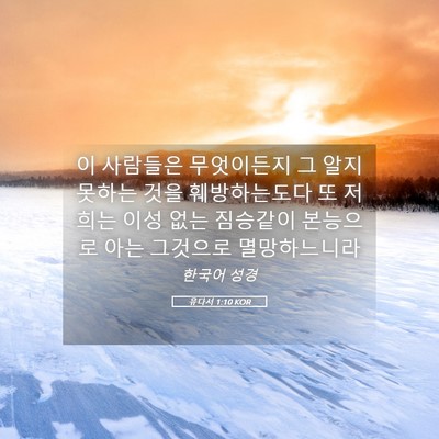 Picture 05 - 유다서 1:10 KOR - 이 사람들은 무엇이든지 그 알지 - Bible Verse Picture