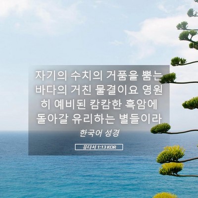 Picture 05 - 유다서 1:13 KOR - 자기의 수치의 거품을 뿜는 바다의 - Bible Verse Picture