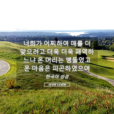 Picture 05 - 이사야 1:5 KOR - 너희가 어찌하여 매를 더 맞으려고 - Bible Verse Picture