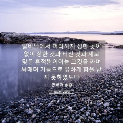 Picture 05 - 이사야 1:6 KOR - 발바닥에서 머리까지 성한 곳이 없이 - Bible Verse Picture