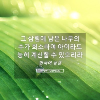 Picture 05 - 이사야 10:19 KOR - 그 삼림에 남은 나무의 수가 - Bible Verse Picture