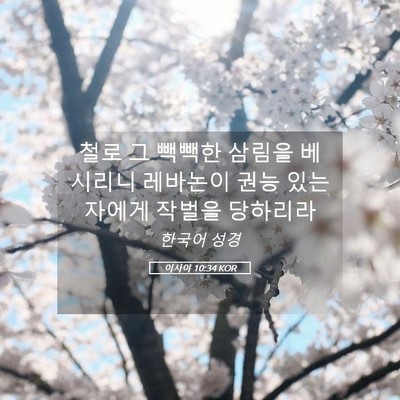Picture 05 - 이사야 10:34 KOR - 철로 그 빽빽한 삼림을 베시리니 - Bible Verse Picture