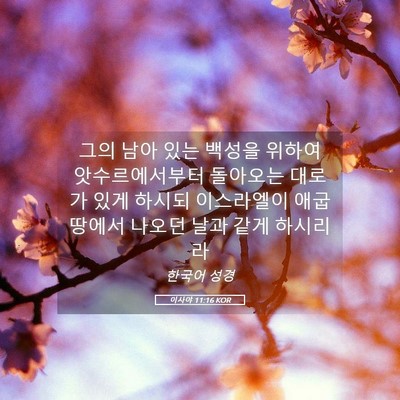 Picture 05 - 이사야 11:16 KOR - 그의 남아 있는 백성을 위하여 - Bible Verse Picture