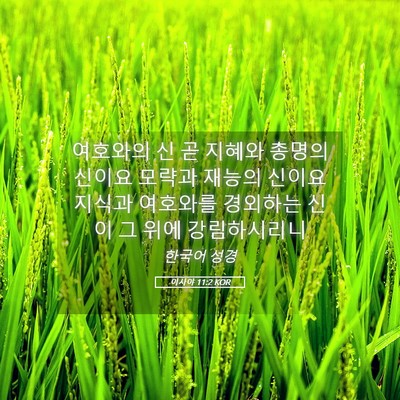 Picture 05 - 이사야 11:2 KOR - 여호와의 신 곧 지혜와 총명의 - Bible Verse Picture