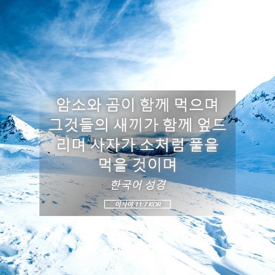 Picture 05 - 이사야 11:7 KOR - 암소와 곰이 함께 먹으며 그것들의 - Bible Verse Picture