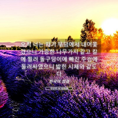 Picture 05 - 이사야 14:19 KOR - 오직 너는 자기 무덤에서 - Bible Verse Picture