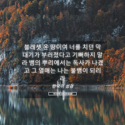 Picture 05 - 이사야 14:29 KOR - 블레셋 온 땅이여 너를 치던 - Bible Verse Picture
