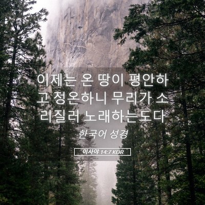 Picture 05 - 이사야 14:7 KOR - 이제는 온 땅이 평안하고 정온하니 - Bible Verse Picture
