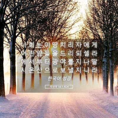 Picture 05 - 이사야 16:1 KOR - 너 희 는 이 땅 치 리 자 에 게 어 린 - Bible Verse Picture
