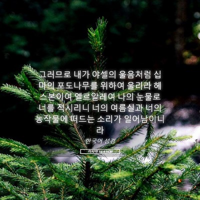 Picture 05 - 이사야 16:9 KOR - 그러므로 내가 야셀의 울음처럼 - Bible Verse Picture