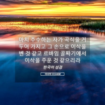 Picture 05 - 이사야 17:5 KOR - 마치 추수하는 자가 곡식을 거두어 - Bible Verse Picture