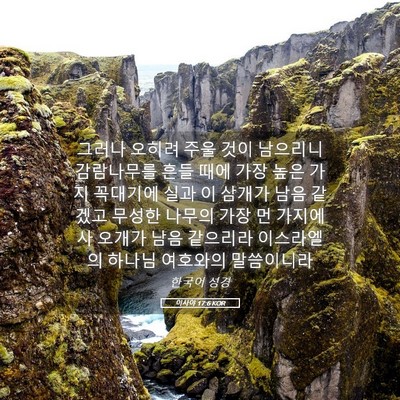 Picture 05 - 이사야 17:6 KOR - 그러나 오히려 주울 것이 남으리니 - Bible Verse Picture