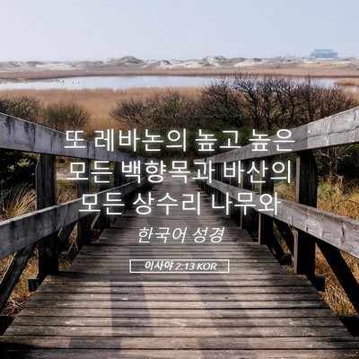 Picture 05 - 이사야 2:13 KOR - 또 레바논의 높고 높은 모든 - Bible Verse Picture