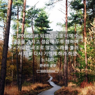 Picture 05 - 이사야 23:16 KOR - 잊어버린바 되었던 기생 너여 수금을 - Bible Verse Picture
