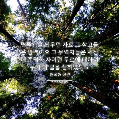 Picture 05 - 이사야 23:8 KOR - 면류관을 씌우던 자요 그 상고들은 - Bible Verse Picture