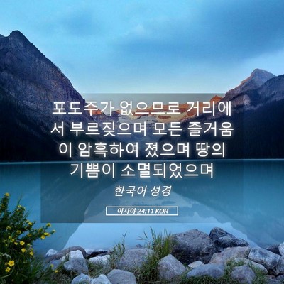 Picture 05 - 이사야 24:11 KOR - 포도주가 없으므로 거리에서 - Bible Verse Picture
