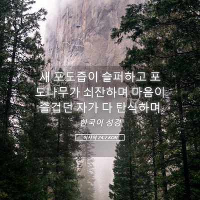 Picture 05 - 이사야 24:7 KOR - 새 포도즙이 슬퍼하고 포도나무가 - Bible Verse Picture